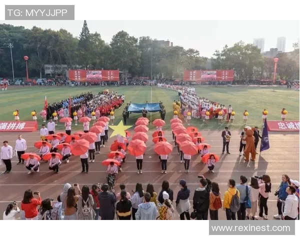 武汉排球队在欧锦赛中的拼搏历程与荣耀时刻全景回顾