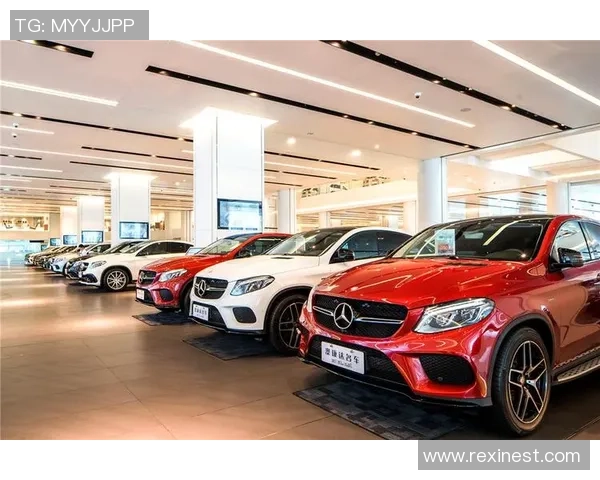 深圳足球队在全国耐力排行榜中荣登第七名展现出强大实力与潜力