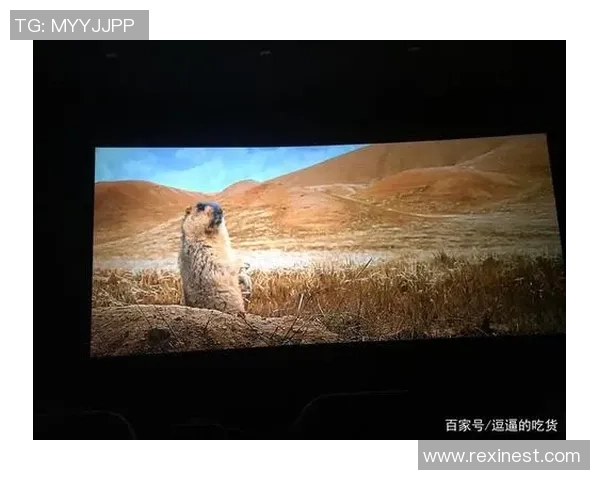 极限运动的魅力与挑战李秀英分享她的冒险人生故事